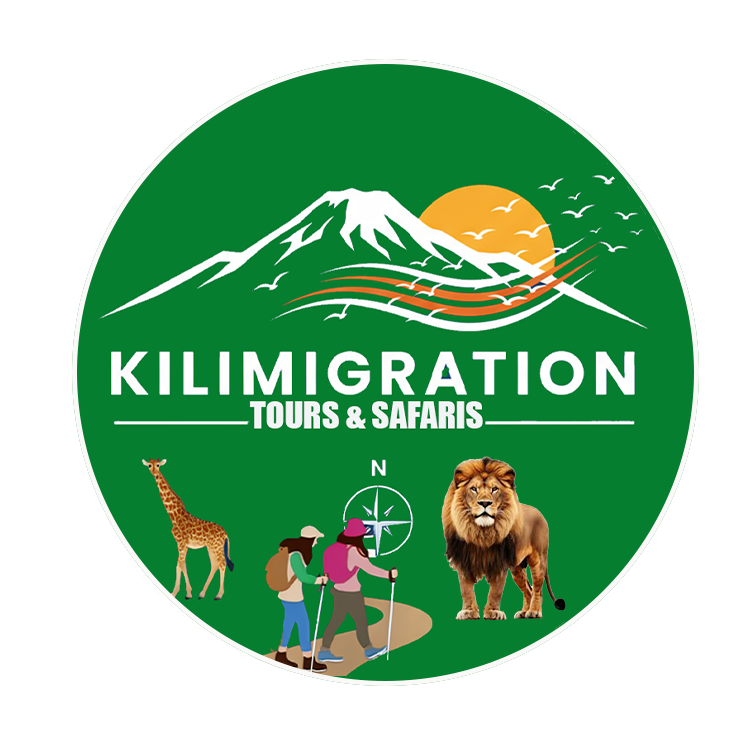 Kili Migration Tours