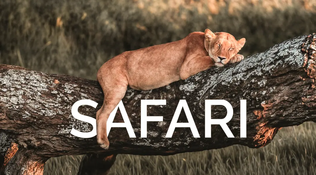 Tanzania Safari